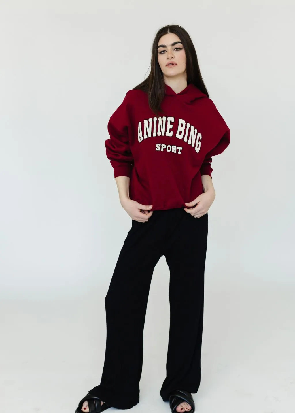 Anine Bing Alec Hoodie Sport in Cabernet
