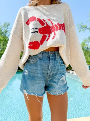 Coastal Catch Knit Sweater