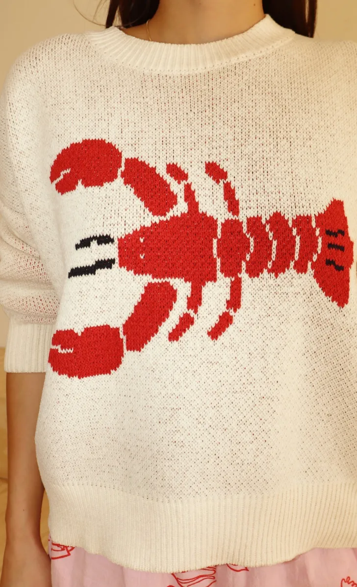 Coastal Catch Knit Sweater