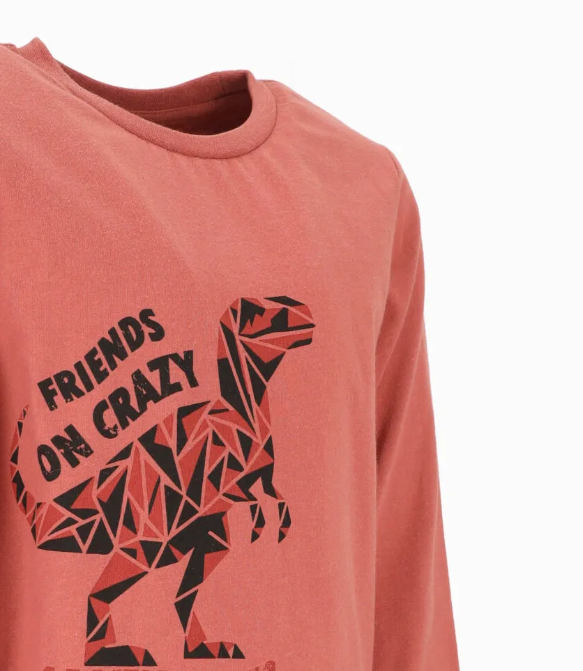 Polera niño con dinosaurio