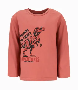 Polera niño con dinosaurio